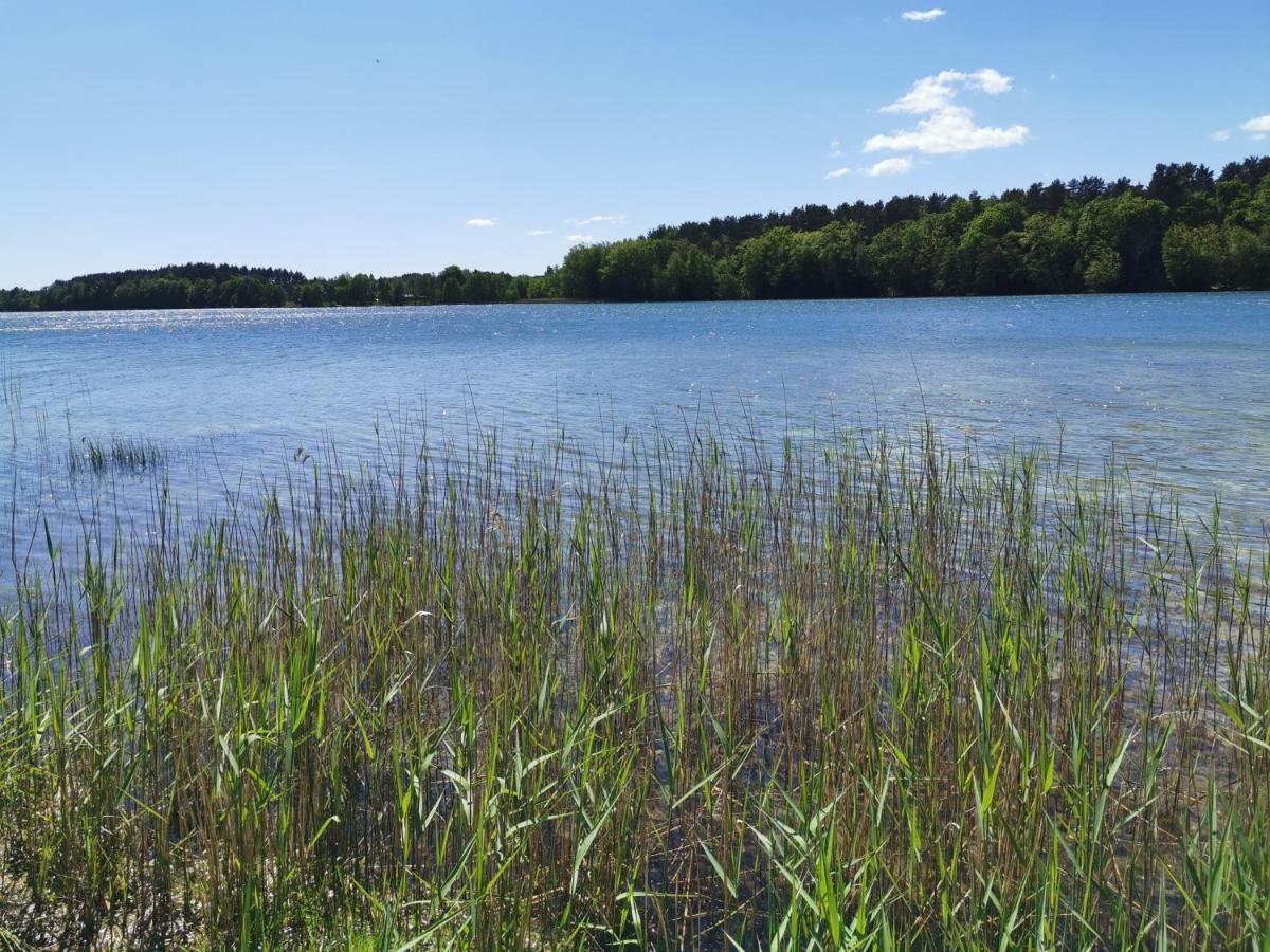 Vila Kaszuby W Ostoja Bukowo - U Malgoski Domek 6 Z Widokiem Na Las I Internetem Borowy Mlyn Exteriér fotografie