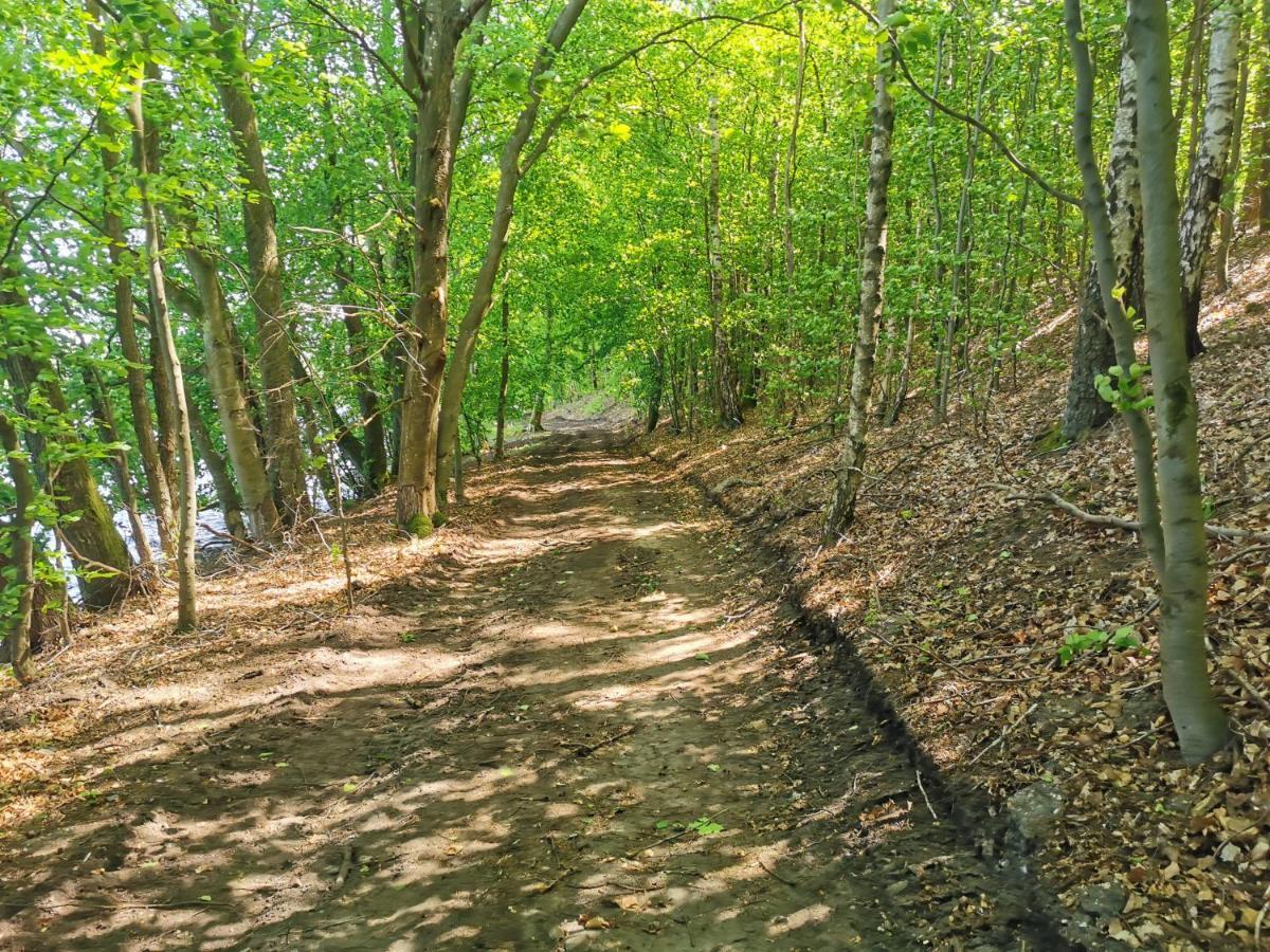 Vila Kaszuby W Ostoja Bukowo - U Malgoski Domek 6 Z Widokiem Na Las I Internetem Borowy Mlyn Exteriér fotografie