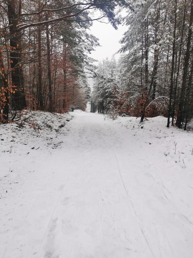 Vila Kaszuby W Ostoja Bukowo - U Malgoski Domek 6 Z Widokiem Na Las I Internetem Borowy Mlyn Exteriér fotografie