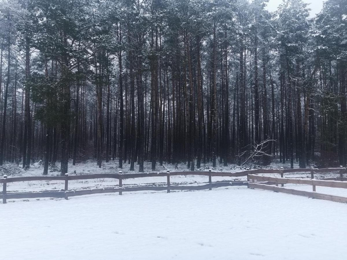 Vila Kaszuby W Ostoja Bukowo - U Malgoski Domek 6 Z Widokiem Na Las I Internetem Borowy Mlyn Exteriér fotografie