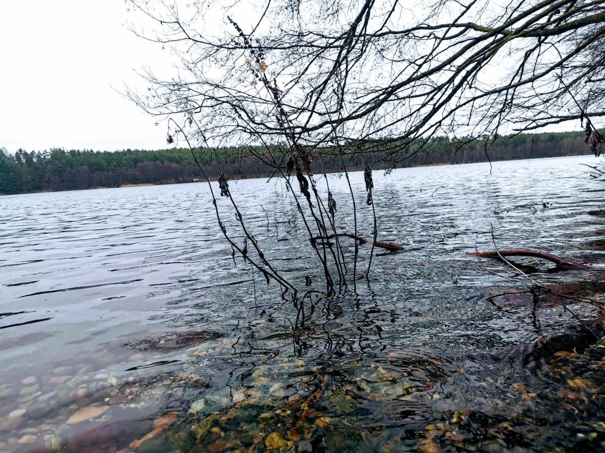 Vila Kaszuby W Ostoja Bukowo - U Malgoski Domek 6 Z Widokiem Na Las I Internetem Borowy Mlyn Exteriér fotografie