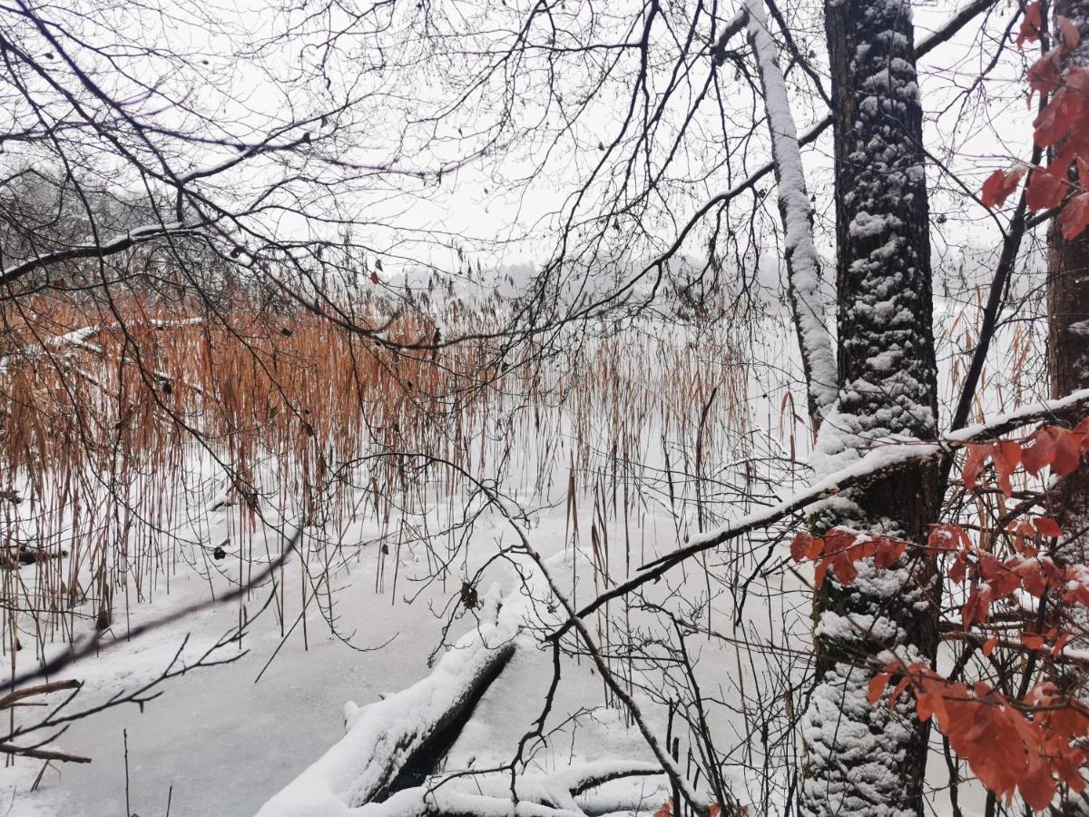 Vila Kaszuby W Ostoja Bukowo - U Malgoski Domek 6 Z Widokiem Na Las I Internetem Borowy Mlyn Exteriér fotografie