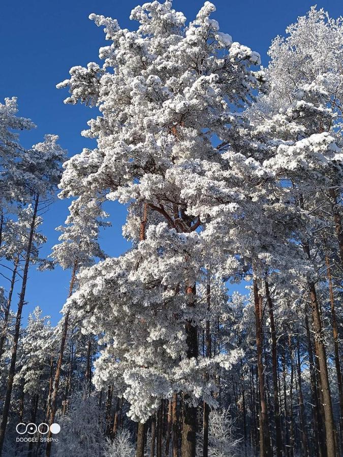 Vila Kaszuby W Ostoja Bukowo - U Malgoski Domek 6 Z Widokiem Na Las I Internetem Borowy Mlyn Exteriér fotografie