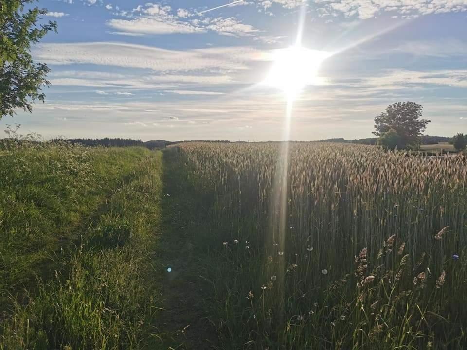 Vila Kaszuby W Ostoja Bukowo - U Malgoski Domek 6 Z Widokiem Na Las I Internetem Borowy Mlyn Exteriér fotografie